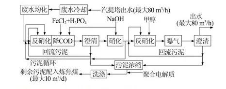 硝化反硝化處理焦化廢水